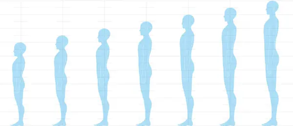 Människans Höjdbalans Sedd Från Sidan Illustration Manlig Kropp Med Huvuden — Stock vektor