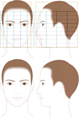 Nazik bir izlenime sahip bir adamın profili ve ön yüzü. Yüz oranlarının gösterimi