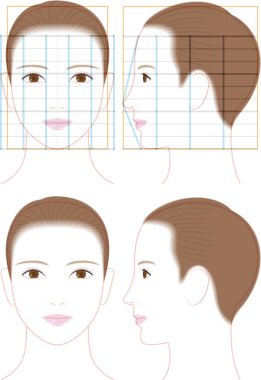 Güzel bir kadının profili ve yüzü. Yüz oranlarının gösterimi