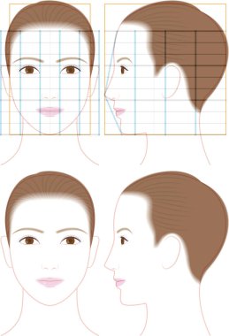 Güzel bir kadının profili ve yüzü. Yüz oranlarının gösterimi