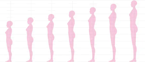 Människans Höjdbalans Sedd Från Sidan Illustration Kvinnlig Figur Med Huvuden — Stock vektor