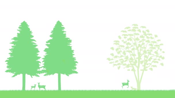 Uma Árvore Animais Hokkaido Mudanças Nas Quatro Estações Ilustração Vídeo — Vídeo de Stock