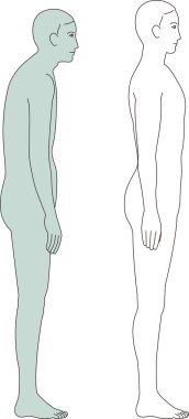 Kamburu çıkmış bir adam ve güzel bir duruşu olan bir adam. Tüm vücut illüstrasyonu