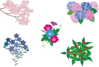 Japonya 'nın dört mevsimini temsil eden çiçek resimleri.