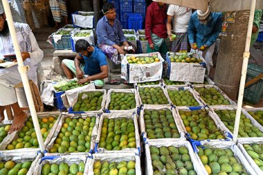 Meyve tüccarları 7 Haziran 2023 'te Bangladeş' in Dhaka kentindeki mango pazarında mangoları satılığa çıkardılar.
