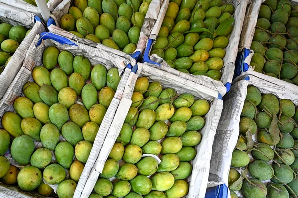 Έμποροι Φρούτων Εκθέτουν Μάνγκο Προς Πώληση Στη Χονδρική Αγορά Μάνγκο — Φωτογραφία Αρχείου