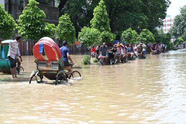 Araçlar sürmeye çalışıyor ve vatandaşlar 22 Eylül 2023 'te Bangladeş' teki Dhaka caddelerinde yürüyorlar. Dün gece şiddetli muson yağmurlarından sonra Bangladeş 'in Dhaka şehrinin birçok bölgesinde aşırı su tomrukçuluğuna neden oldu. Yollar alt tabakaydı.