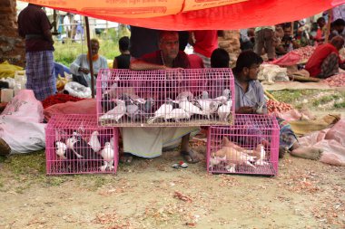 21 Haziran 2015 'te Bangladeş' in Narayanganj ilçesindeki Kaikkarateke haftalık pazarında müşteri bekleyen güvercinli bir tüccar.