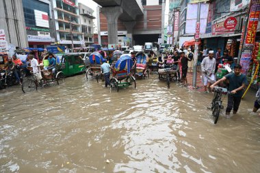 3 Eylül 2024 'te sağanak yağış neredeyse durgunluğa yol açtıktan sonra araçlar ve Rickshaw' lar Dhaka 'nın sulak sokaklarında yolcularla birlikte araba sürmeye çalışırlar.. 