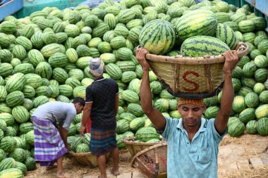 İşçiler 21 Mart 2025 'te Dhaka, Bangladeş' teki Buriganga Nehri 'nin kıyısındaki bir tekneden karpuz indirirler. Ülkenin dört bir yanından yüzlerce meyve tüccarı yaz mevsiminde meyvelerini toptan satmak için başkente geldi.