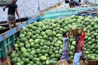 İşçiler 21 Mart 2025 'te Dhaka, Bangladeş' teki Buriganga Nehri 'nin kıyısındaki bir tekneden karpuz indirirler. Ülkenin dört bir yanından yüzlerce meyve tüccarı yaz mevsiminde meyvelerini toptan satmak için başkente geldi.