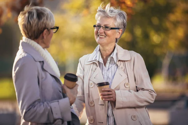 Duas Mulheres Seniores Amigos Bebendo Café Andando Longo Parque — Fotografia de Stock