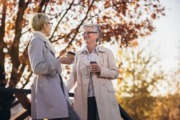 Duas Mulheres Seniores Amigos Bebendo Café Andando Longo Parque — Fotografia de Stock