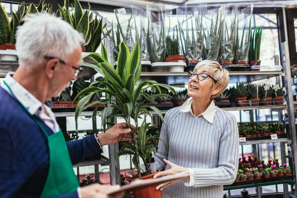 Старша Жінка Купує Квіти Місцевому Квітковому Магазині — стокове фото