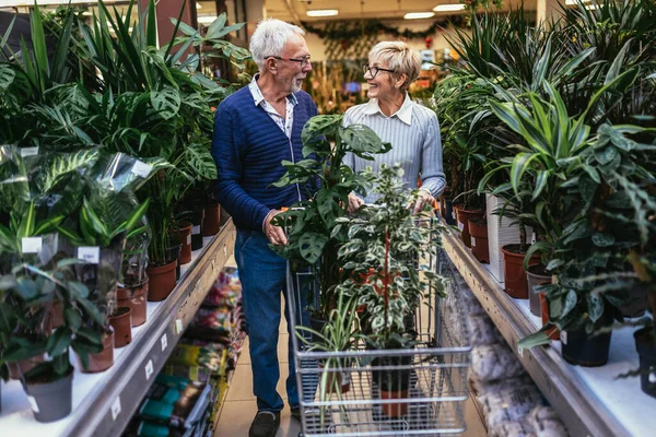 Couple Sénior Choisissent Plante Pot Centre Jardin — Photo