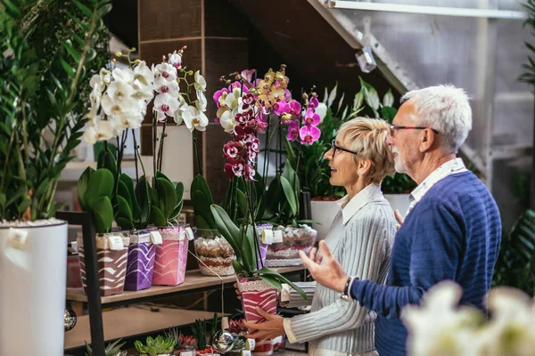 Старшие Пары Выбирают Цветок Садовом Центре — стоковое фото