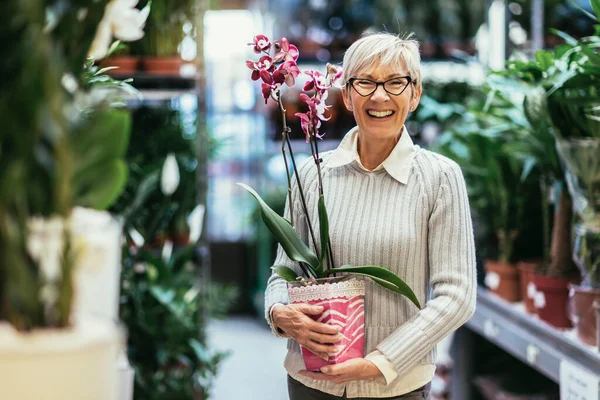 Senior Femme Achète Des Fleurs Dans Boutique Fleurs — Photo