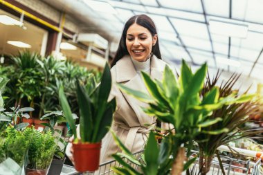 genç bir kadın çiçek Bahçe Merkezi satın 