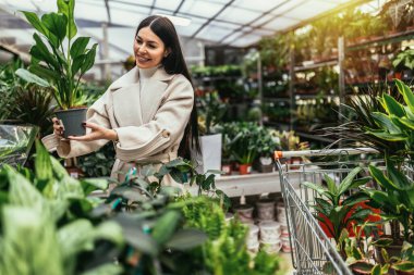 Çiçek alan kadın, alışveriş arabalarını bahçe merkezinde itiyor..