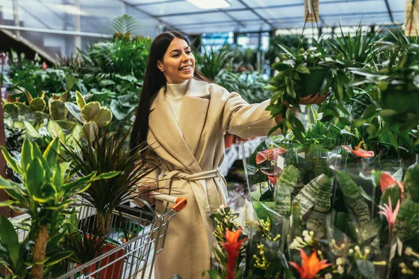 Mulher Comprando Flores Empurrando Carrinho Compras Centro Jardim — Fotografia de Stock