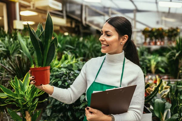 在花店工作的快乐的小企业主女人站在植物的包围下 — 图库照片
