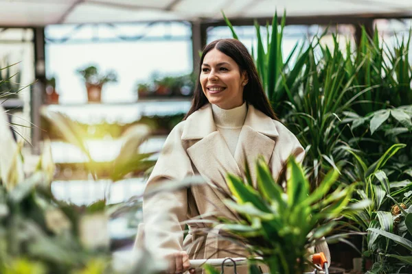Vrouw Koopt Bloemen Duwen Winkelwagen Tuincentrum — Stockfoto