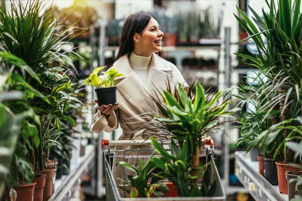 Kobieta Kupuje Kwiaty Pchając Koszyk Centrum Ogrodu — Zdjęcie stockowe