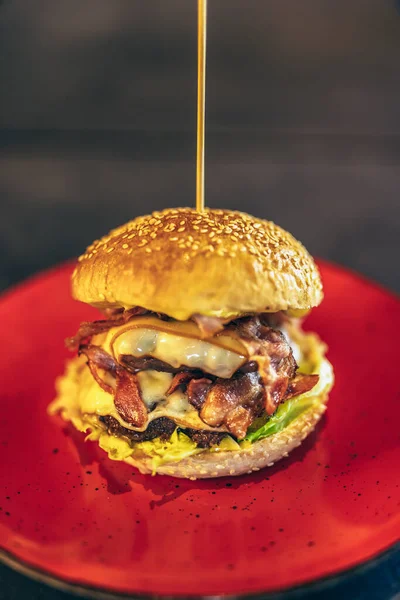 Fresh Tasty Burger Red Plate — Stock Photo, Image