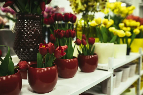 Bouquet Tulips Flower Shop Spring Floral Tulip Bunch Gift Romantic — Fotografia de Stock