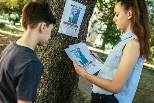 Çocuklar Kayıp Bir Köpek Arıyorlar Posterler Asıyorlar — Stok fotoğraf