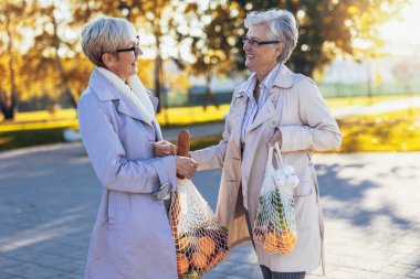 Happy smiling senior female friends holding a bags with fruits and vegetables outdoor