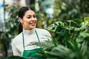 Portrait of beautiful florist working in flower shop and taking care of plant