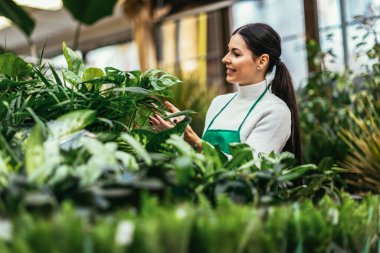 Portrait of beautiful florist working in flower shop and taking care of plant