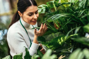 Portrait of beautiful florist working in flower shop and taking care of plant
