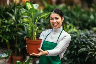 Portrait of beautiful florist working in flower shop while smiling and looking at a camera