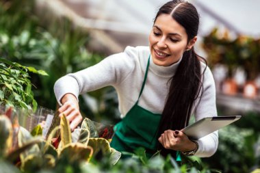 Woman florist working in a floral shop and taking care of a plant