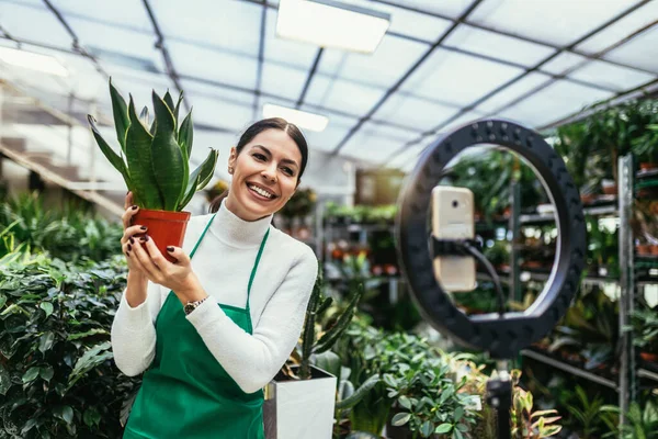 Woman owner on Live Streaming on mobile application by mobile phone for sell flower at flower shop