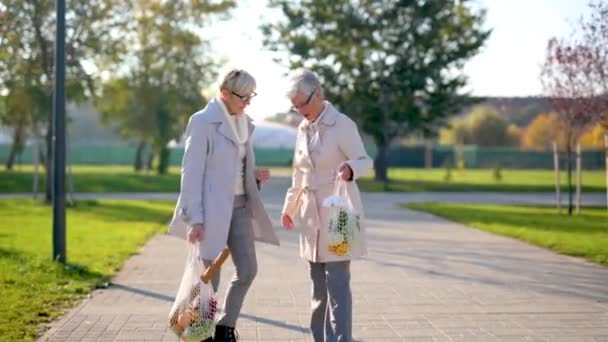 Two Senior Female Friends Holding Grocery Bags Walking Park — Vídeo de Stock