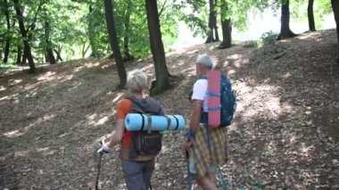 Ormanda yürüyüş yapan yaşlı bir çift sırt çantaları ve yürüyüş direkleri takıyor. İskandinav yürüyüşü, yürüyüş. Sağlıklı yaşam tarzı.