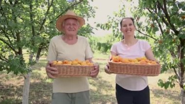 Yetişkin kızı olan, meyve bahçesinden kayısı toplayan, kaliteli, mutlu bir son sınıf öğrencisi..