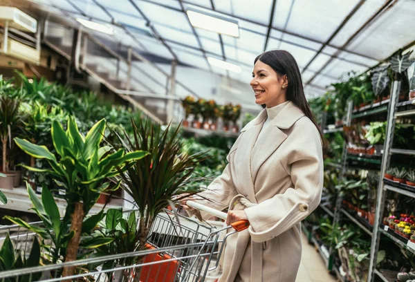 Vrouw Koopt Bloemen Duwen Winkelwagen Tuincentrum — Stockfoto