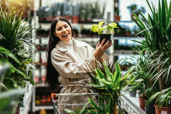 Mujer Comprando Flores Empujando Carrito Compras Centro Del Jardín — Foto de Stock