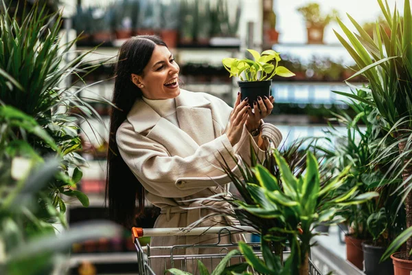ガーデンセンターでショッピングカートを押す花を買う女性 — ストック写真