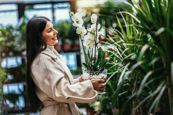 Молода Жінка Купує Квіти Садовому Центрі — стокове фото