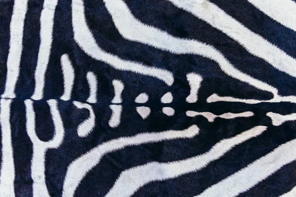 Dokuları Olan Gerçek Zebra Derisi — Stok fotoğraf