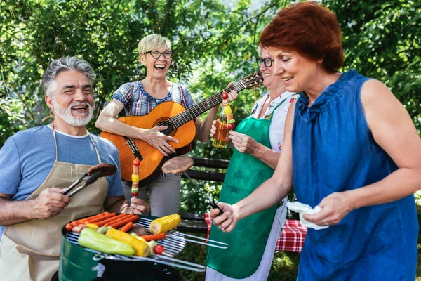 高齢者のグループは ピクニックに行ったり ギターや歌を演奏したり バーベキューをしたり 思い出を作ったり 友情をより強くしたりすることで 退職を楽しんでいます — ストック写真