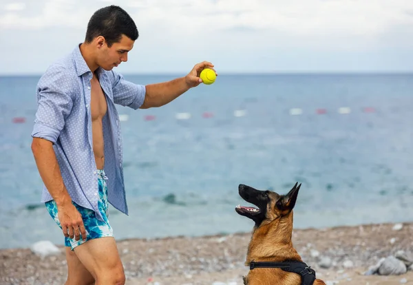 Egy Kutya Tréner Kutyával Edzés Közben Tenger Közelében — Stock Fotó