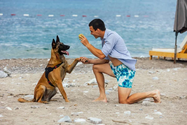 Egy Kutya Tréner Kutyával Edzés Közben Tenger Közelében — Stock Fotó