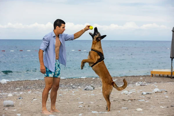 Dog Trainer Dog Training Sea — Stock Photo, Image