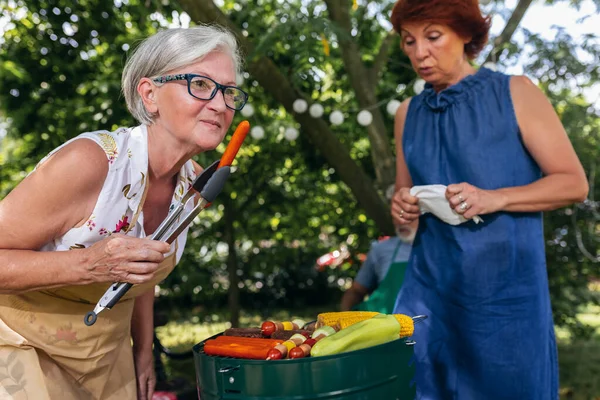 Elderly People Making Barbeque Drinking Beverages Making Memories Laughing — Stock Photo, Image